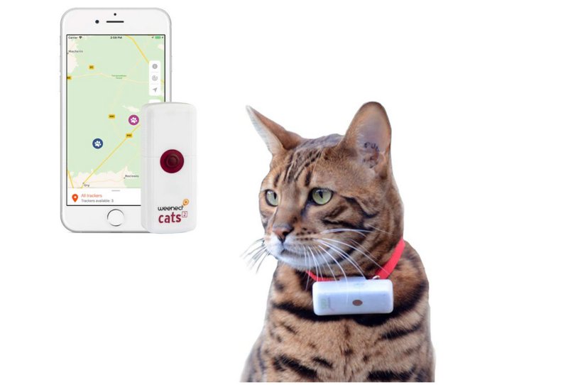 Weenect Cats 2 localizador GPS