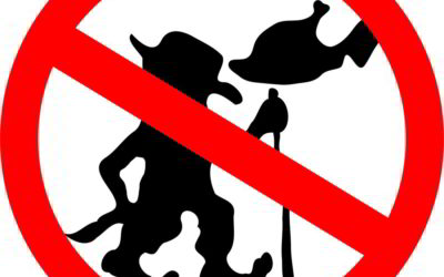 10 trucos originales para frustrar a un troll en Internet