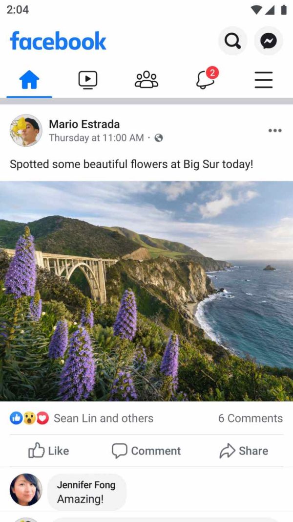 facebook (1)
