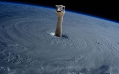 3 herramientas gratuitas para quitar el fondo de una imagen