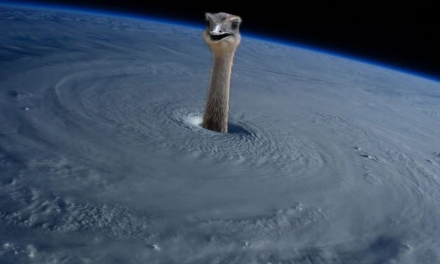3 herramientas gratuitas para quitar el fondo de una imagen