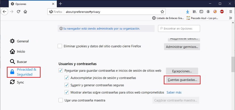 Busca la contraseña en tu navegador web 5