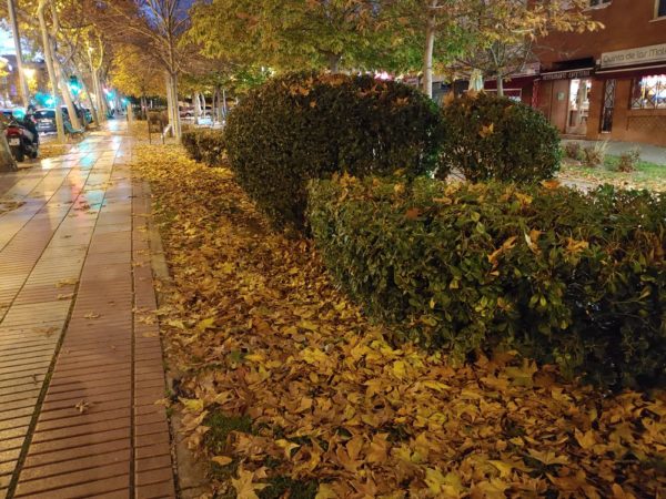 lg-v50-galeria-57