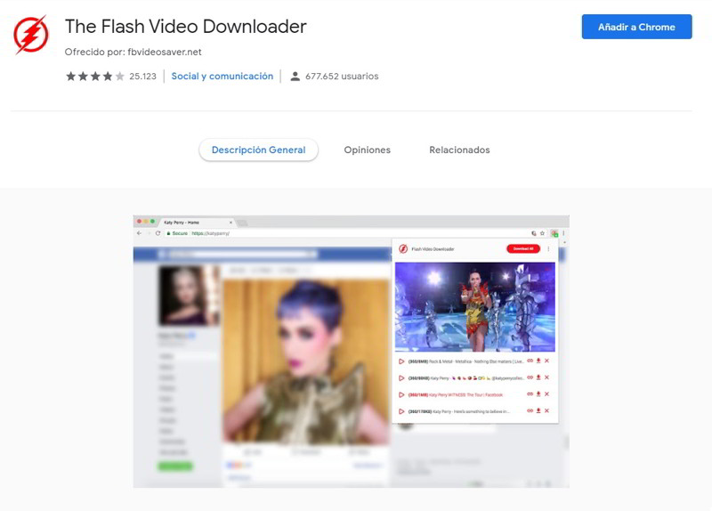 The Flash Video Downloader