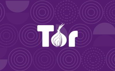 5 alternativas a Tor para navegar de forma segura