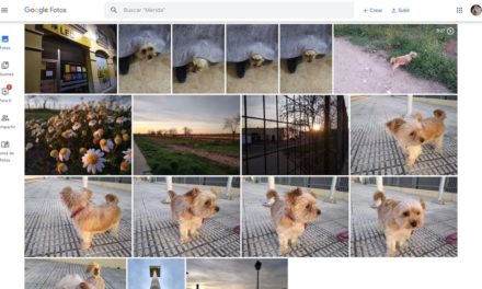 15 trucos para convertirte en un maestro de Google Fotos