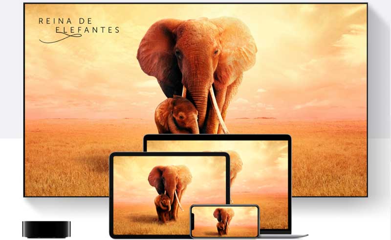 Los televisores LG de 2019 recibirán este año una de las apps más esperadas 2 los televisores LG de 2019 reciben Apple TV
