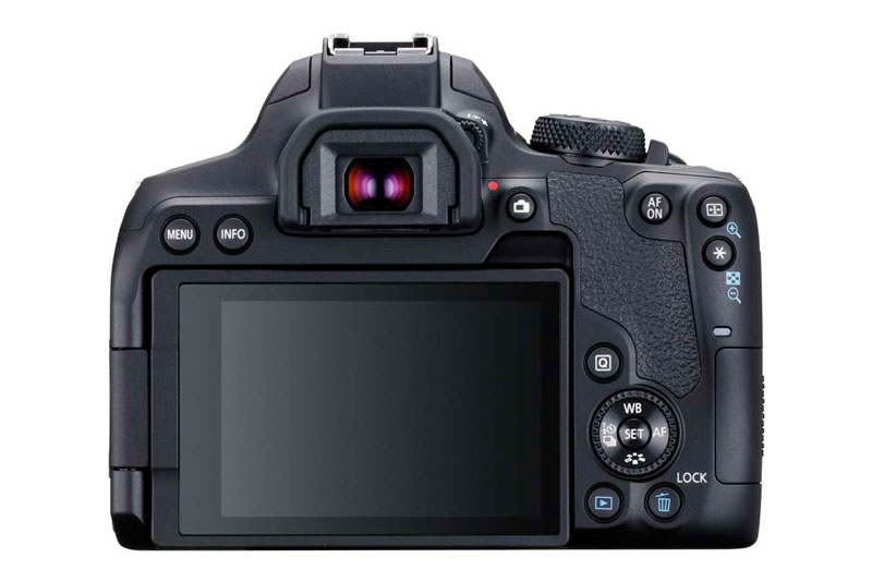 Esta es la cámara que necesitas para dar tus primeros pinitos en fotografía 2 lanzamiento Canon EOS 850D trasera
