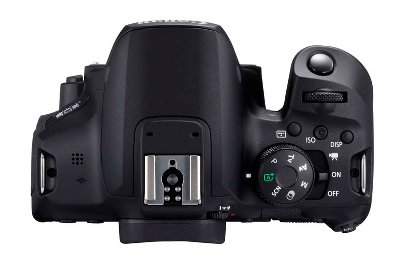 Esta es la cámara que necesitas para dar tus primeros pinitos en fotografía 3 lanzamiento Canon EOS 850D parte superior