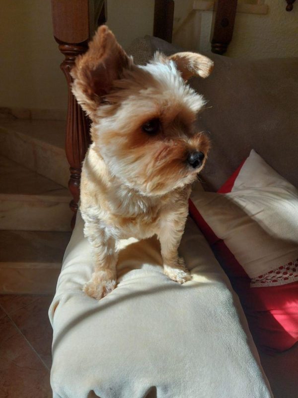 fotos camara samsung galaxy a71 29
