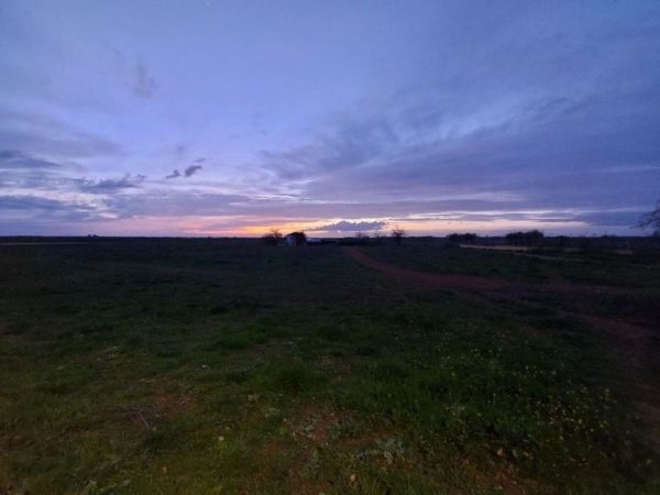 fotos camara samsung galaxy a71 35
