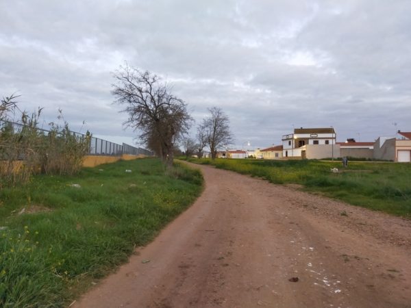 fotos oppo a9 2020 14