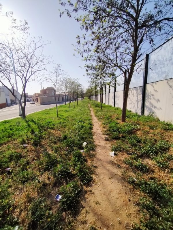 fotos oppo a9 2020 41