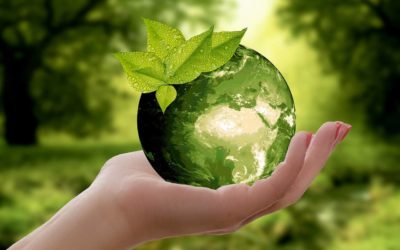5 inventos que quieren ayudar a salvar el planeta
