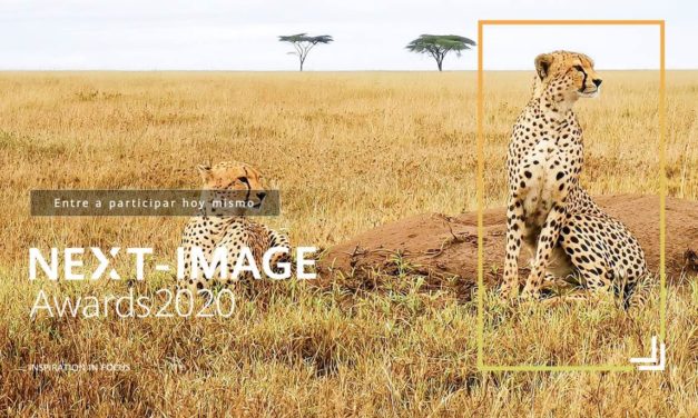 Huawei convoca un nuevo concurso de fotografía con premios de hasta 10.000 dólares