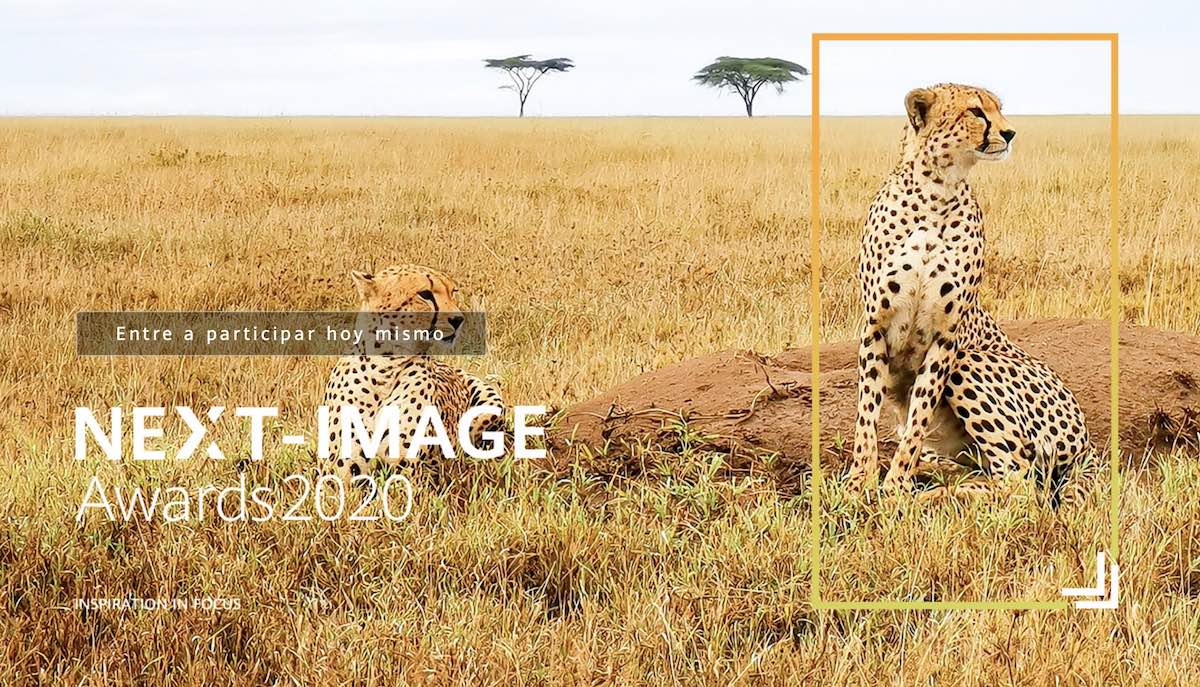 Huawei convoca un nuevo concurso de fotografía con premios de hasta 10.000 dólares 1 concurso fotografia huawei next