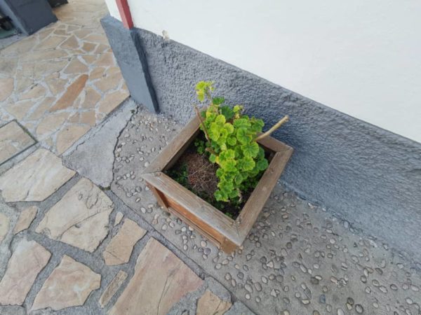 IMG_20200426_191454