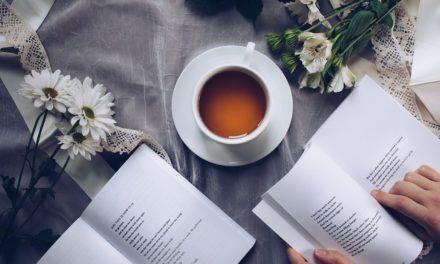 Cómo celebrar el Día del Libro con libros gratis y ofertas por Internet