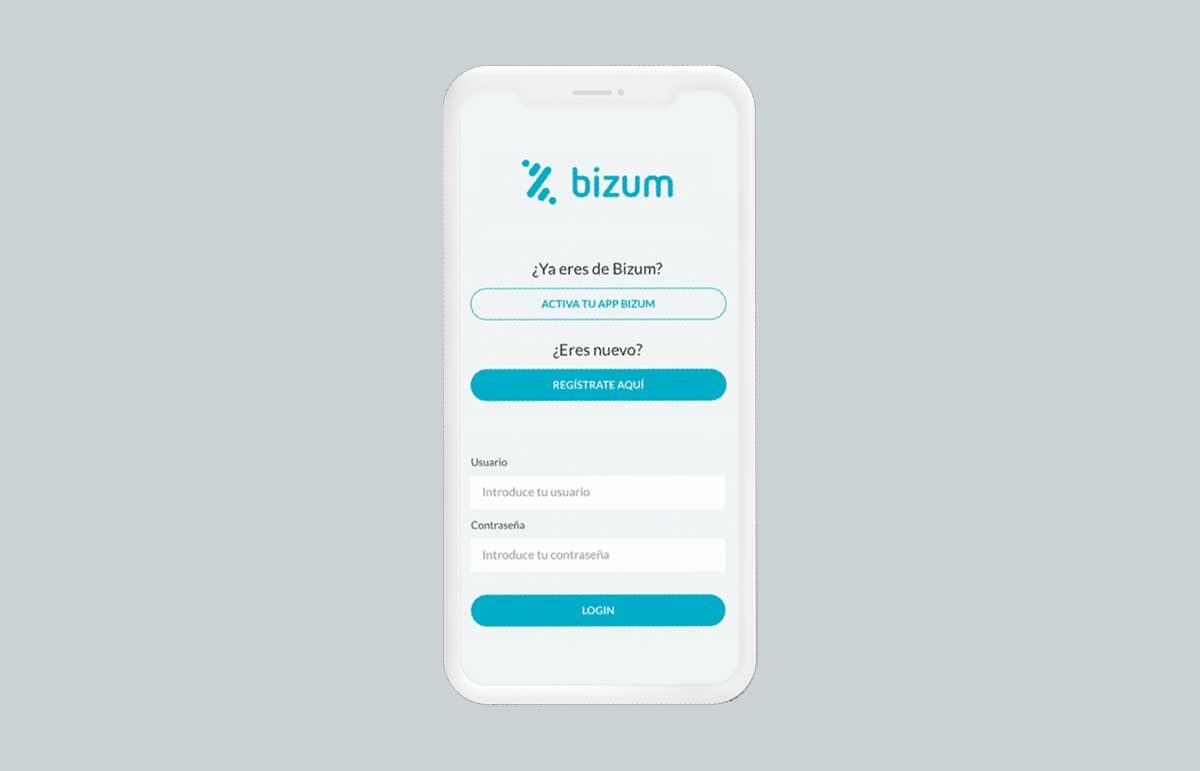 bizum es seguro pagar movil