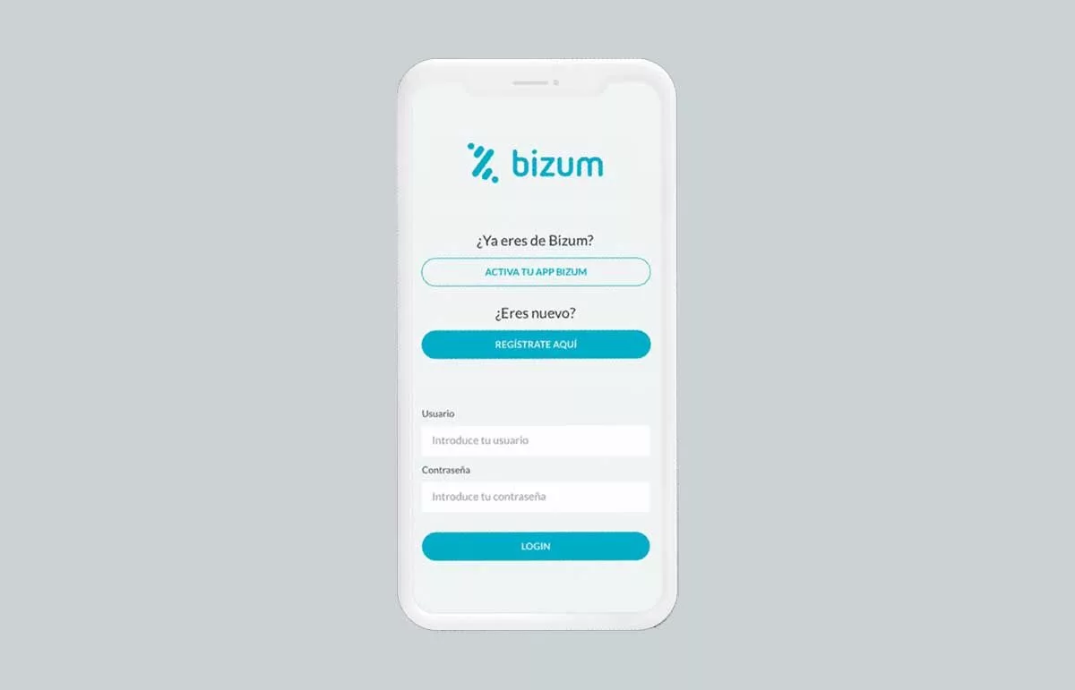 bizum is safe to pay mobile