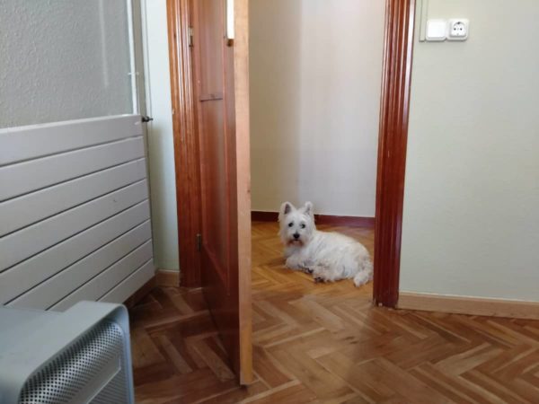 IMG20200504120928