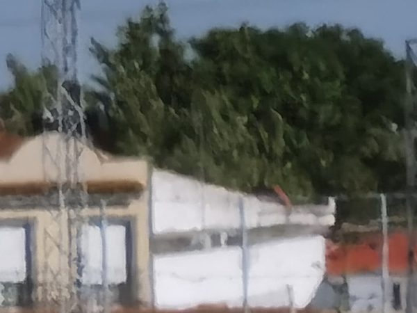 fotos huawei p40 pro plus 46