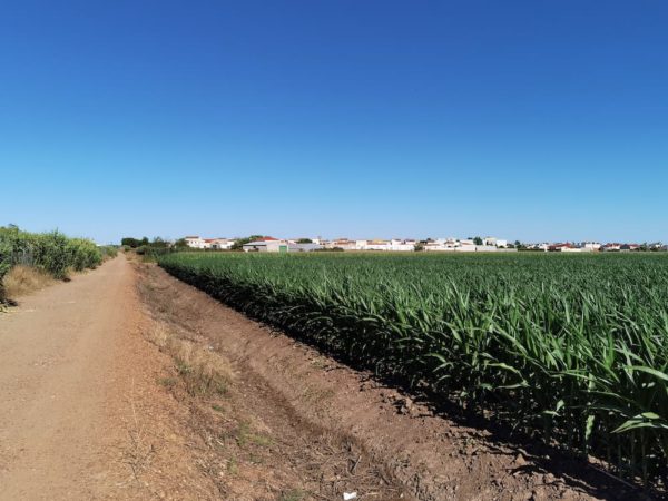 fotos huawei p40 pro plus 54