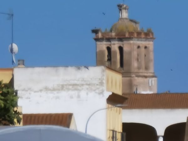 fotos huawei p40 pro plus 56