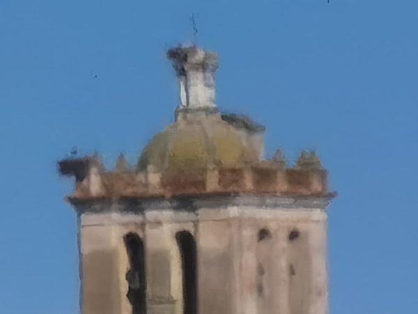 fotos huawei p40 pro plus 63