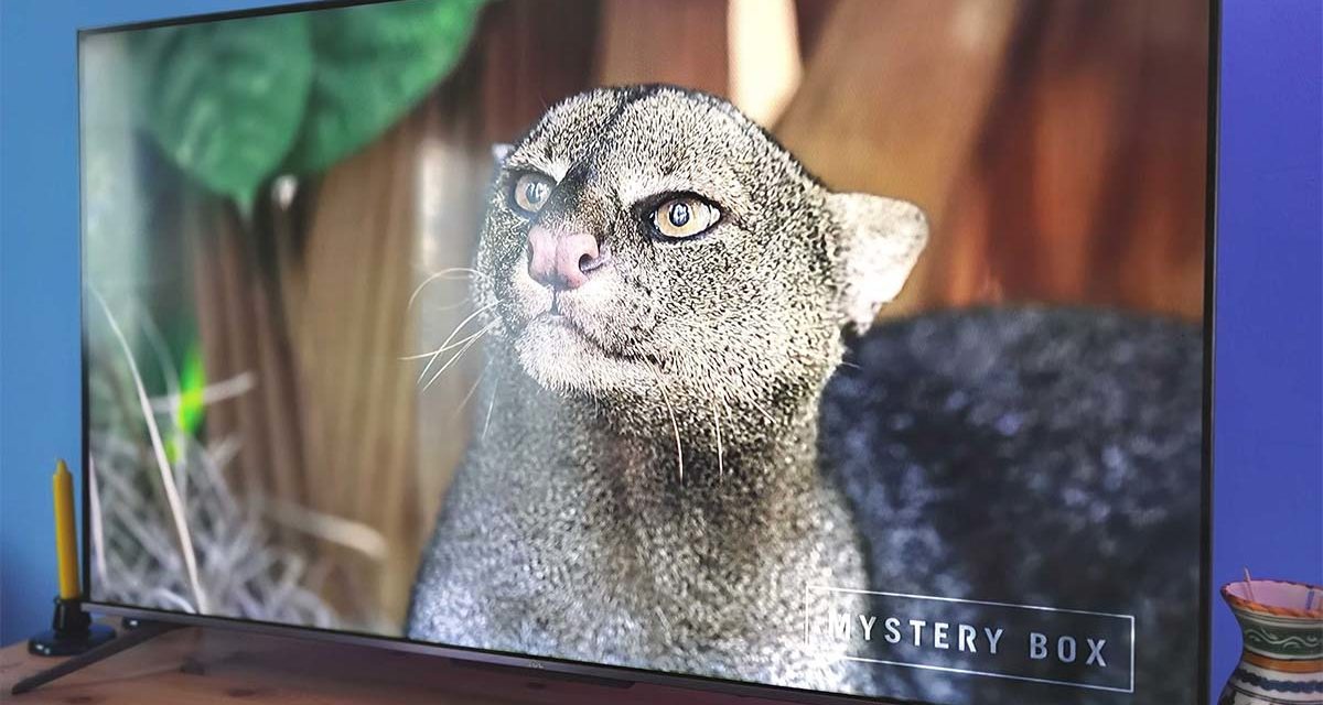 ¿Más colores en un televisor QLED? El TCL C71 tiene la clave