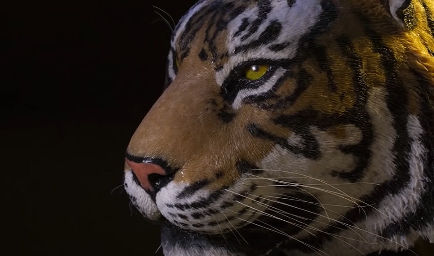 10 vídeos de esculturas hechas con lápiz 3D que no podrás dejar de ver 3 tigre