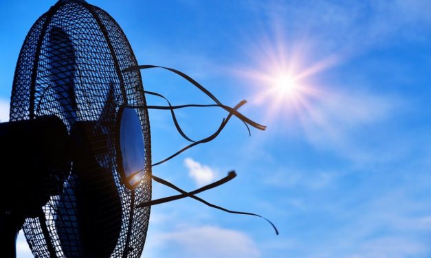 Ventiladores baratos para la ola de calor: 5 opciones por menos de 150 euros