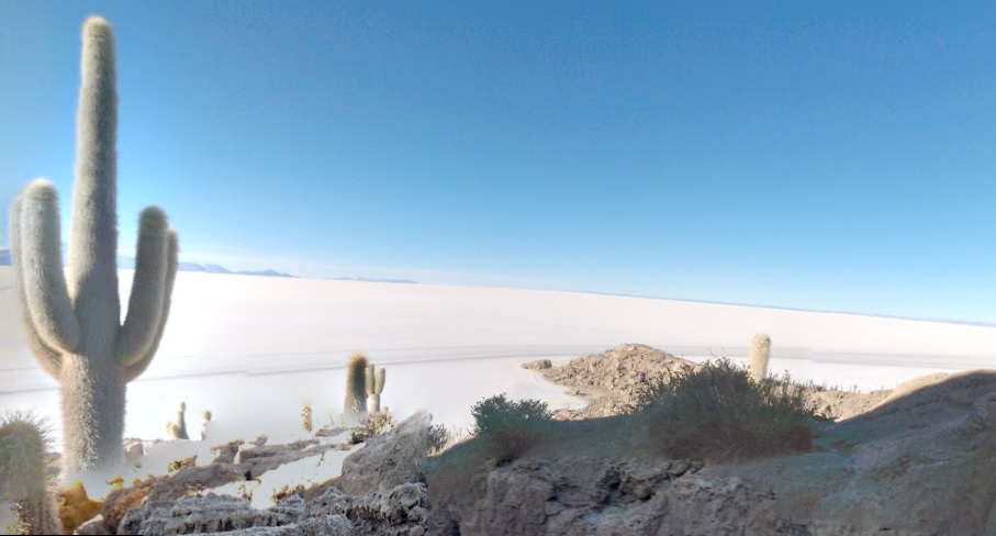 8 lugares que puedes visitar con Google Maps que quitan el hipo 6 salar