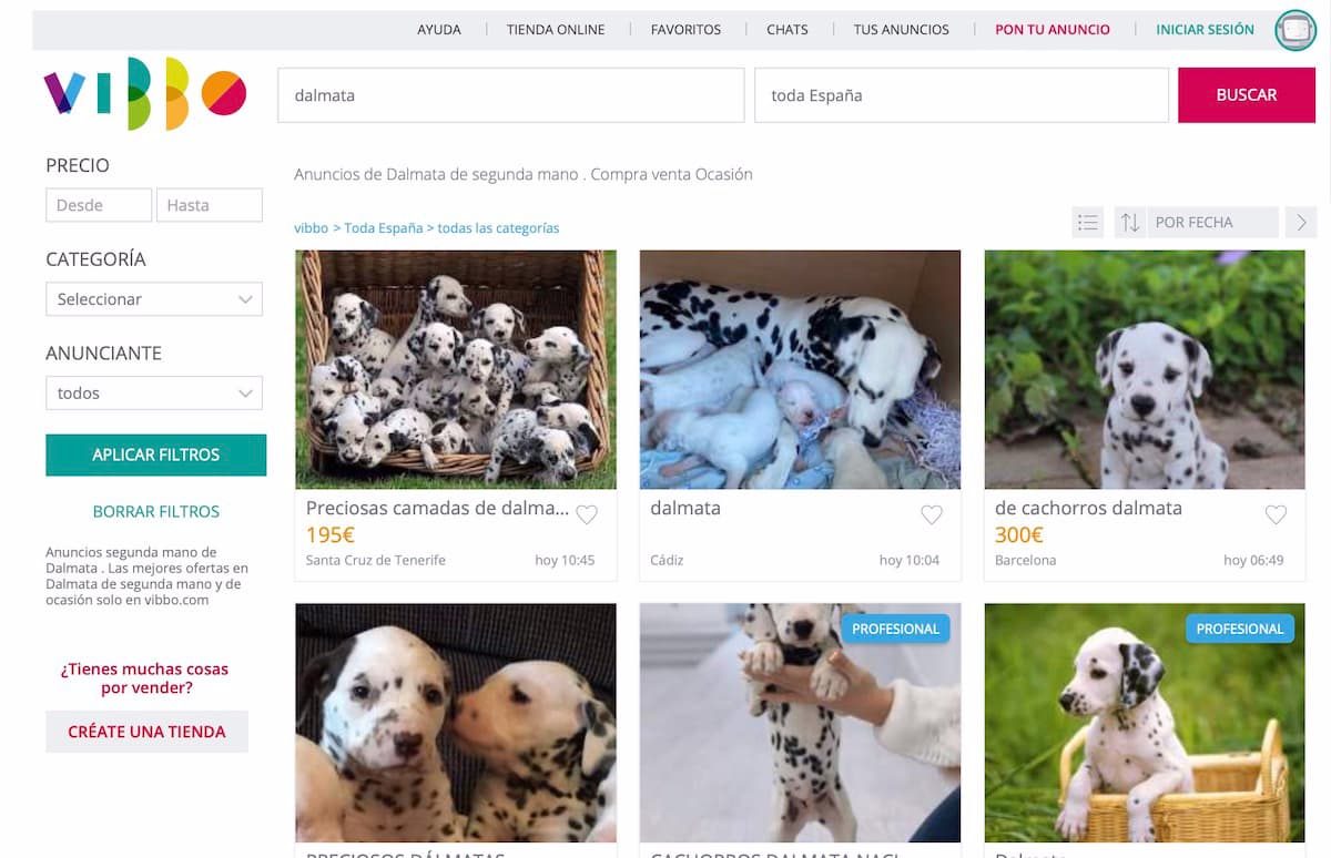 vender animales por internet perros legal