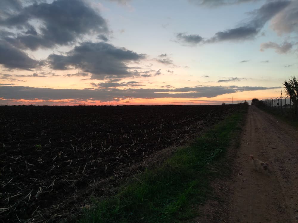 Mi experiencia con el Vivo X51 5G tras tres semanas de uso 30 fotos vivo x51 5g 23