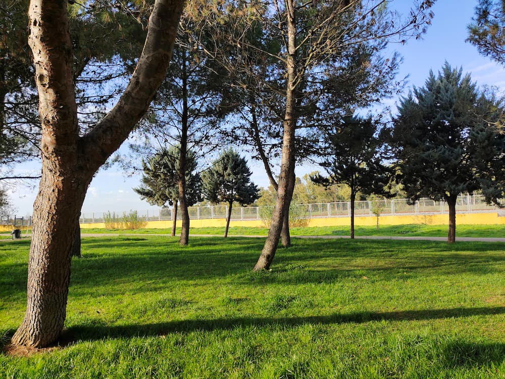 Mi experiencia con el Vivo X51 5G tras tres semanas de uso 26 fotos vivo x51 5g 3