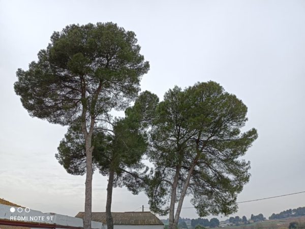 48-megpixeles