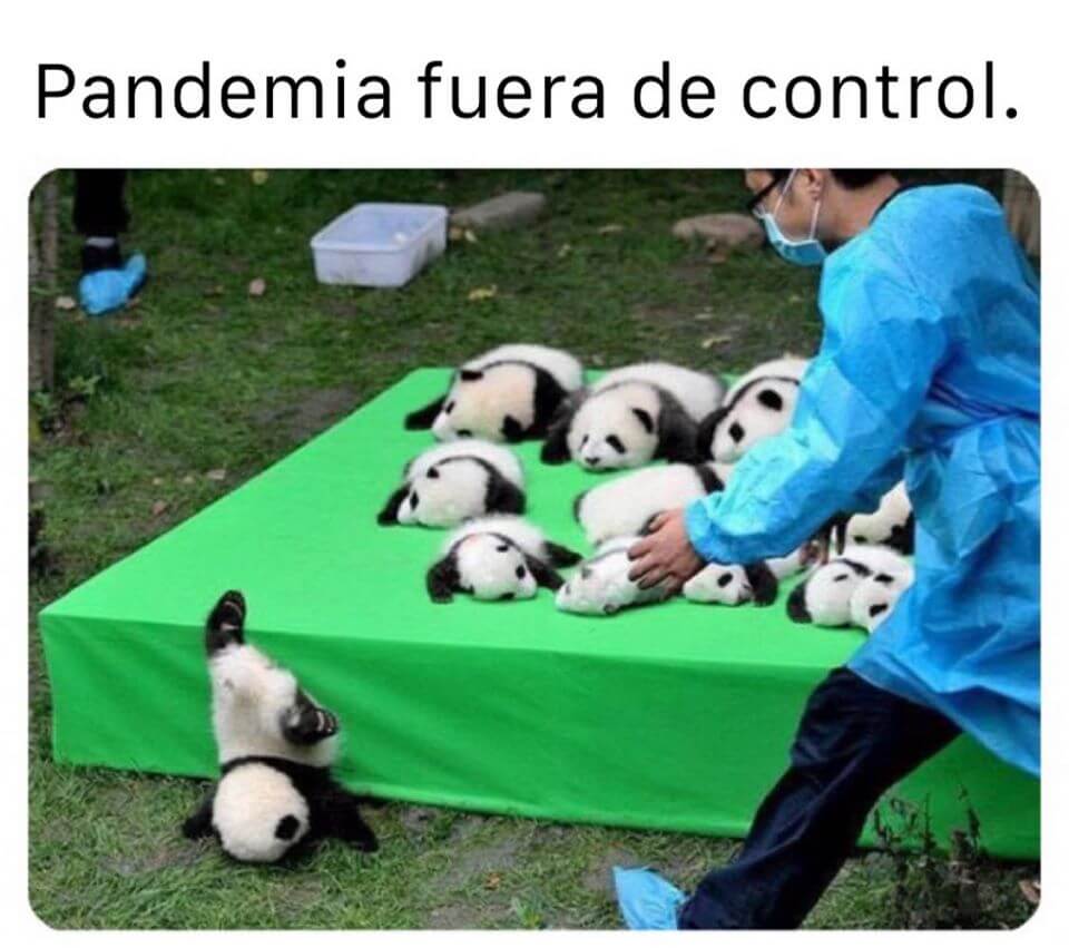 Memes De Coronavirus Graciosos Para Sobrevivir A La Pandemia