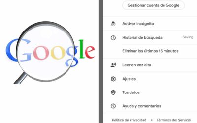 Esta opción permite borrar los últimos 15 minutos del historial de Google