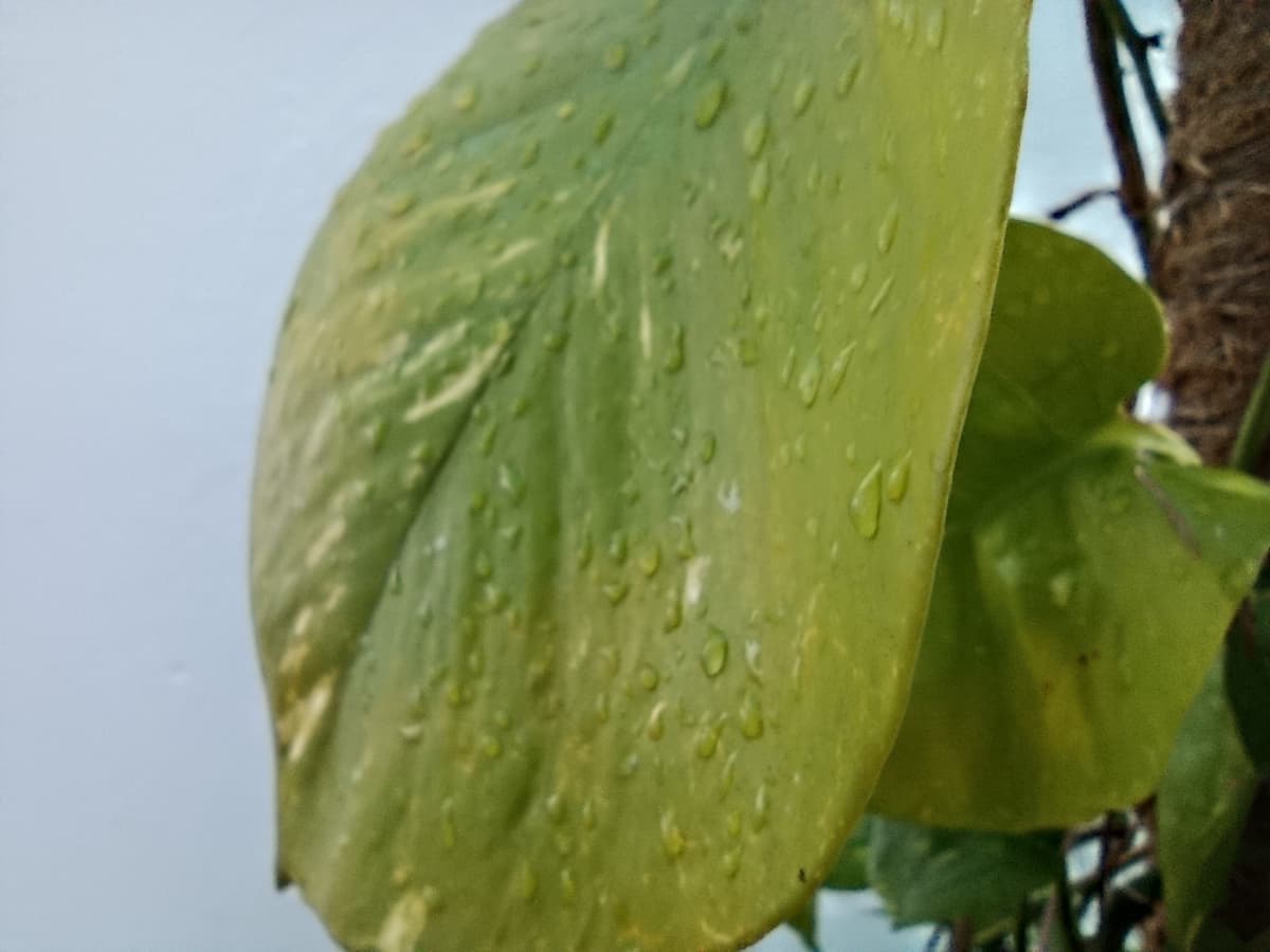 camara redmi note 10 5g 20