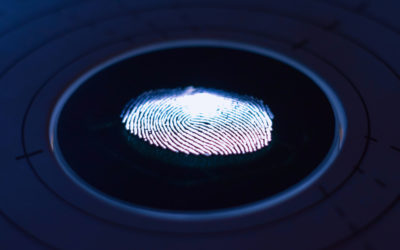 Cómo borrar el rastro que dejas en Internet o desaparecer por completo