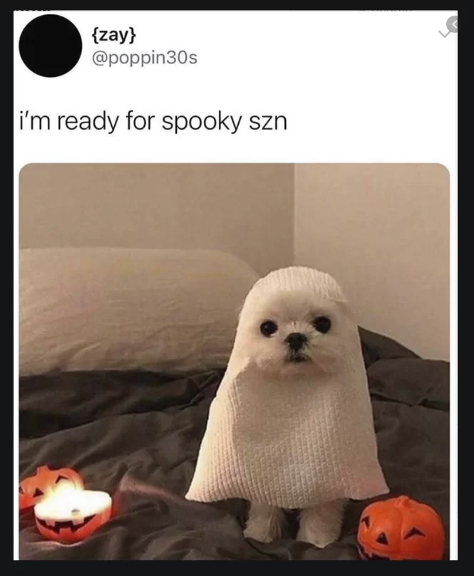 Los mejores memes y GIF para celebrar Halloween 4