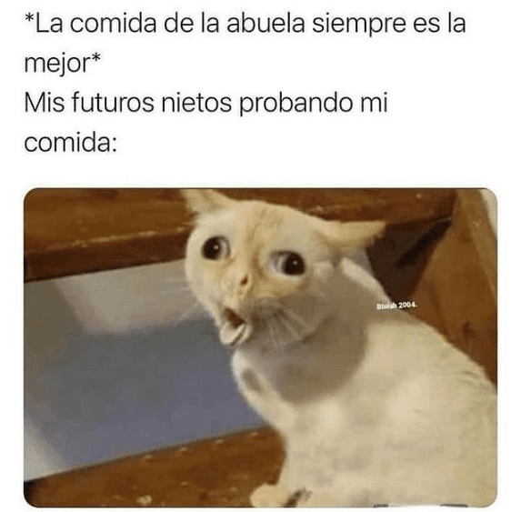 Los mejores memes en español sobre gatos para sobrevivir a la semana 7