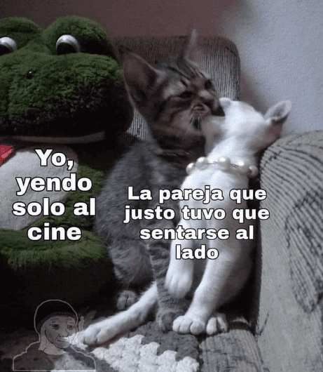 Los mejores memes en español sobre gatos para sobrevivir a la semana 6
