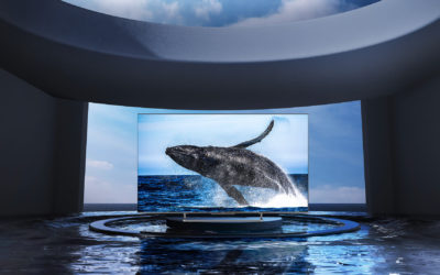TCL QLED 65C728, una tele con pantalla QLED, buena fluidez y un precio competitivo
