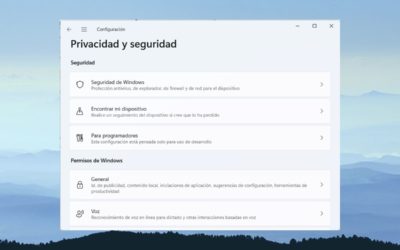 Cómo proteger tu anonimato con Windows 11