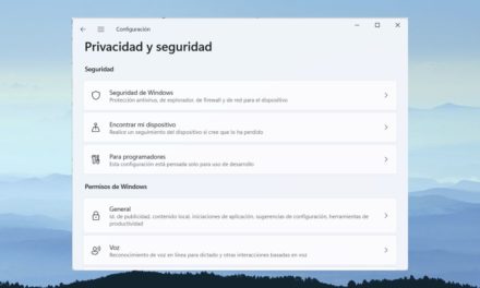 Cómo proteger tu anonimato con Windows 11