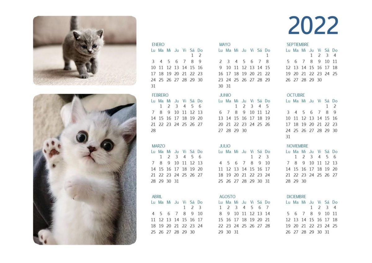 calendario 2022 completo gatitos_page-0001