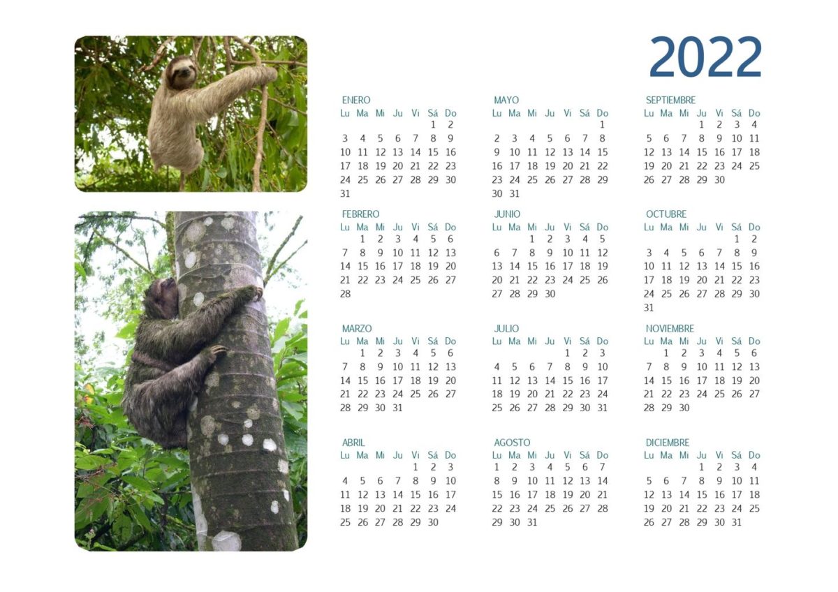 calendario 2022 completo oso perezoso_page-0001