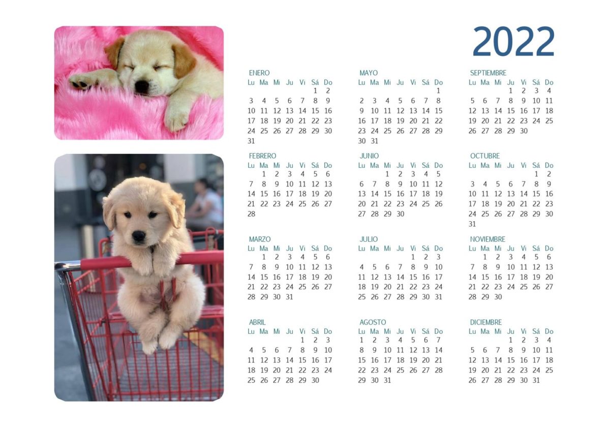 calendario 2022 completo perritos_page-0001